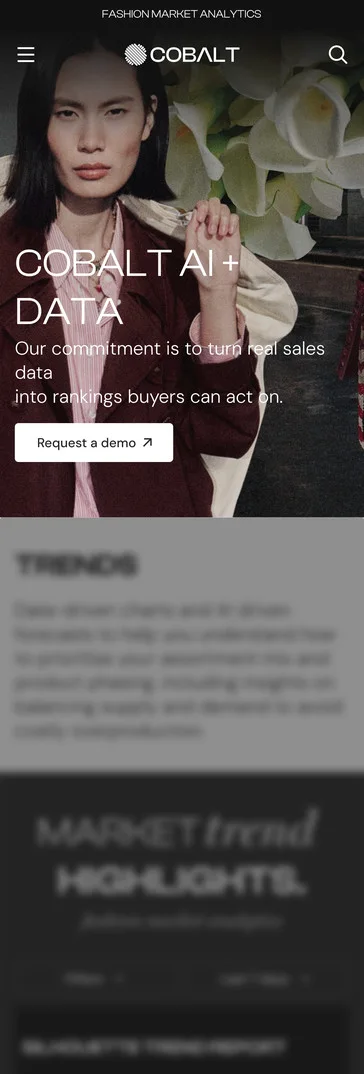 Home page, hero with the demo request